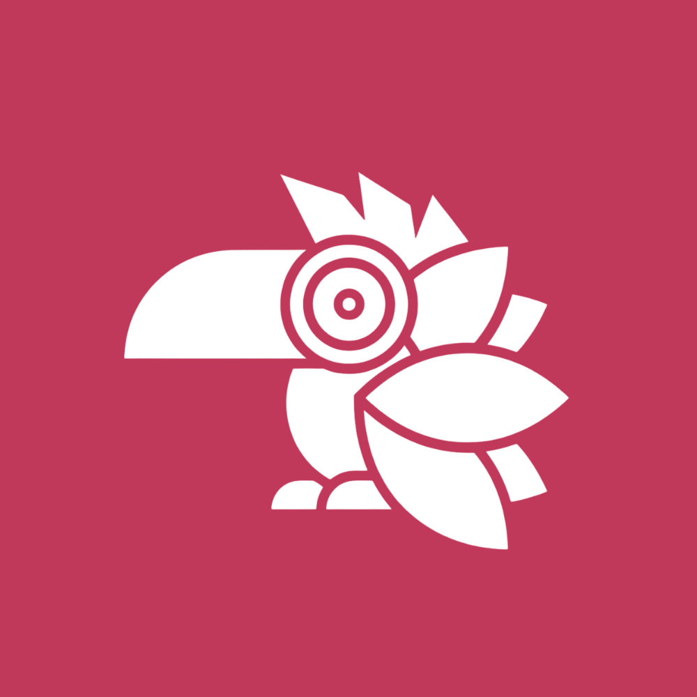 Collien Z.